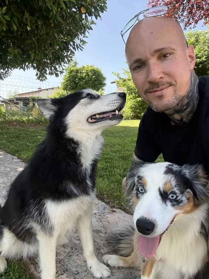 Damien dans le jardin avec un husky et un berger australien