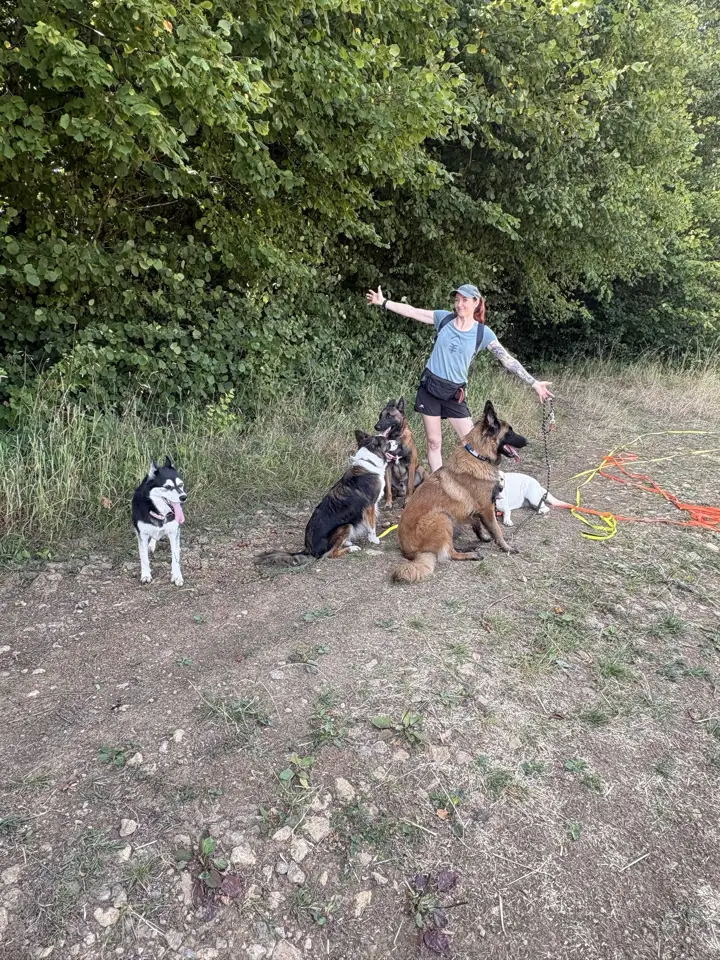 Lidwine en balade avec cinq chiens au bord d'un bois